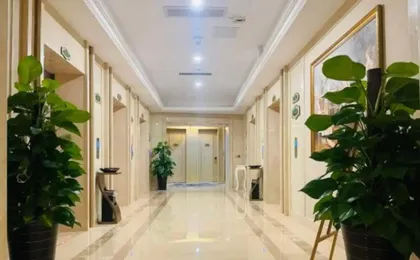 Vienna International Hotel Longyan Busines