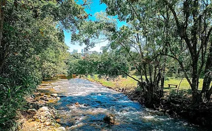 Suíte com cachoeira no quintal