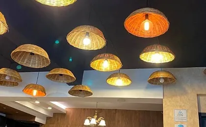 Hotel Tropical Daisy