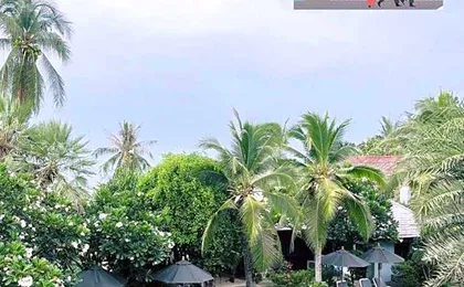 Marina Villa