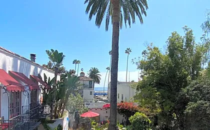 Villa Rosa Inn