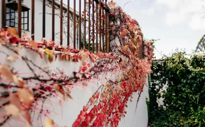 De Russie Boutique Hotel