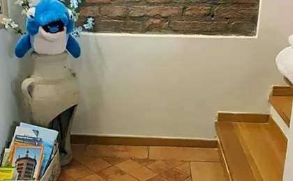 Il Delfino a Bologna