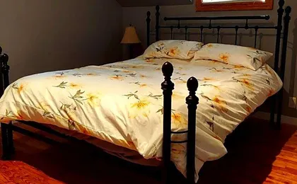 Auberge Le P'tit Bonheur