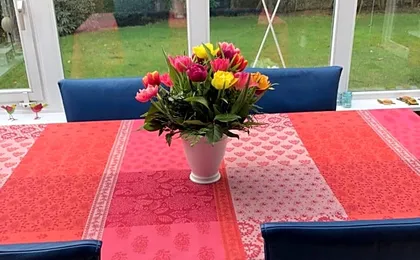 Bed & Breakfast Bigalke