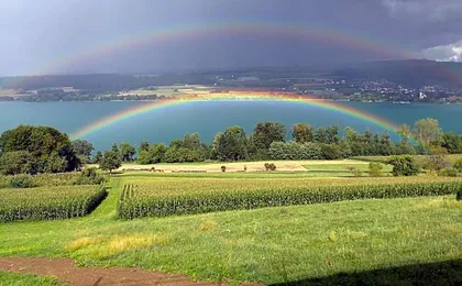 Lake View Apartments Beinwil am See (30 km to Lucerne)