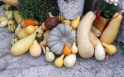 Хотел Дани