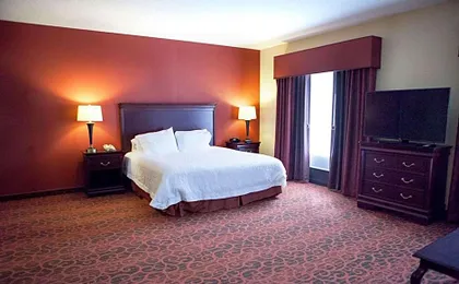 Hampton Inn Rochester-Webster