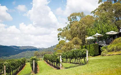 Borrodell Vineyard