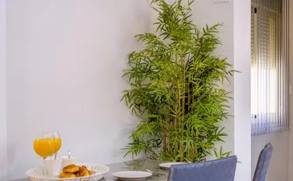 LA ALCAZABA - Exclusive Penthouse