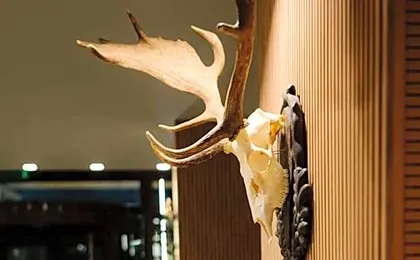 The Lodge Hotel