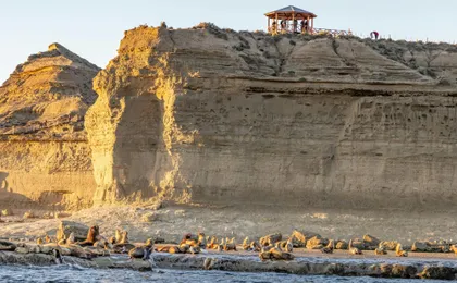 Peninsula Valdes and Whale Watching Tour from Puerto Madryn