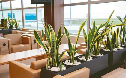 Club Mobay Airport VIP Lounge
