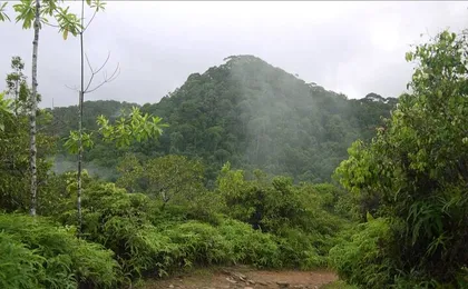 Sinharaja Rain Forest Tour from Hambantota