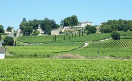 Half-day trip to Saint-Emilion wine estates from Bordeaux