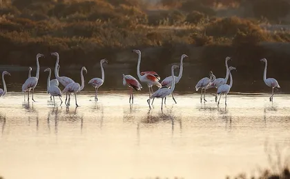 Eastern Algarve small-group 4x4 adventure and Ria Formosa boat trip