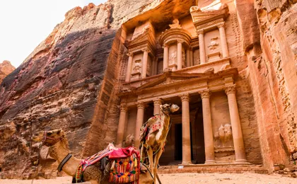 Round trip transfers to Petra