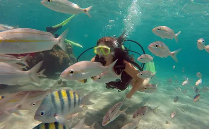 Maracajau Parrachos Reef - Group Tour