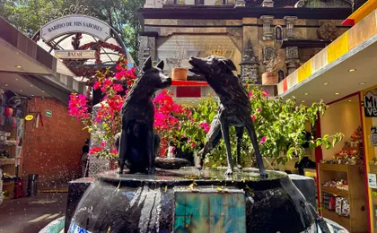 Xochimilco, Coyoacán and Frida Kahlo Guided Tour