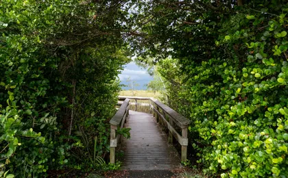 Audio-guided driving tour to Everglades National Park
