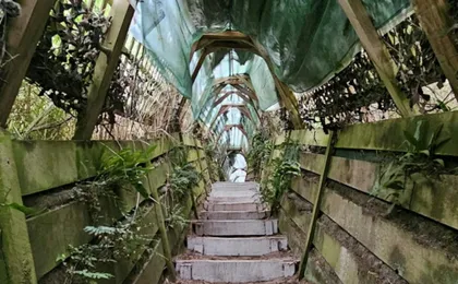 Penguin Habitat and Rehabilitation Centre Guided Tour in Dunedin