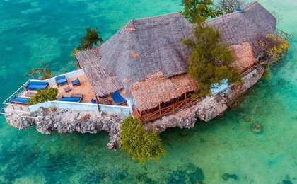 Private Full-Day: Dolphin & Monkey Jungle Adventure