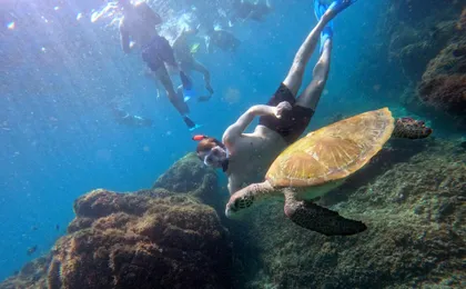 Fujairah snorkelling experience with transfer from Dubai