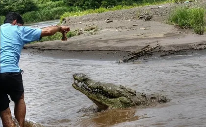 Jungle Crocodile Safari & Jaco Beach from San Jose