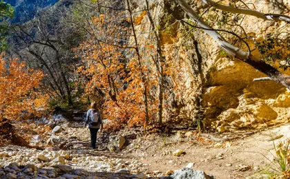 Guadalupe Mountains National Park self-guided driving and walking tour