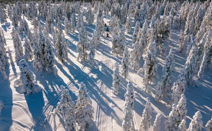 3-hour snowmobile adventure in Levi