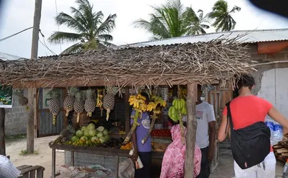 Mnemba Island, Nungwi Village & Sea Turtle Experience