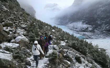 Balmaceda and Serrano glaciers cruise with traditional Patagonian lunch