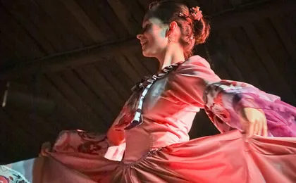 Gaucho night dinner and show