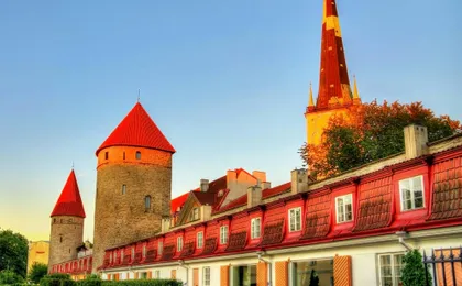 Explore Tallinn's photogenic highlights with a local