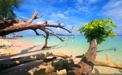 Full Day Speedboat Tour with Emerald Cave Visit