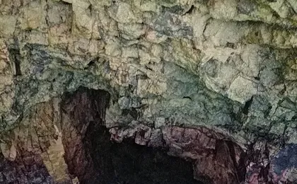 Berlenga island trip, glass-bottom boat cave tour and snorkeling