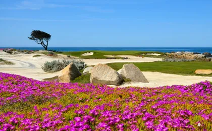 Self-Guided Audio Driving Tour of 17-Mile Drive
