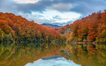 Day trip to Ochagavia and the Irati Forest from Pamplona