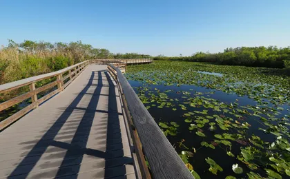 Audio-guided driving tour to Everglades National Park