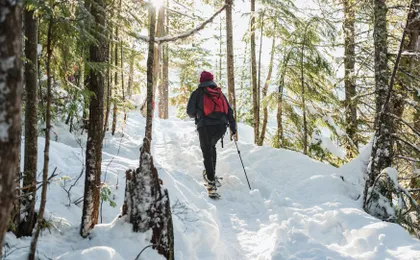 Squamish Sea to Sky Gondola tickets