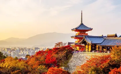 1-day tour to Kyoto and Nara Park from Osaka