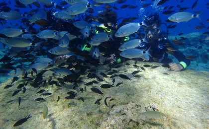 Discover scuba diving small group tour from Ayia Napa and Protaras