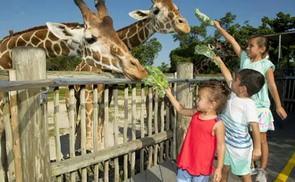 Go City Miami 3 top attractions essentials pass
