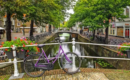Self-guided Discovery Walk in Delft secret alleys and blue ceramics