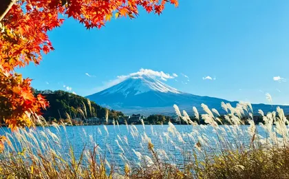 Mount Fuji top 4 must-visit attractions full day tour from Tokyo