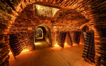 Cellar visit at the Champagne Boizel house and Millésime tasting
