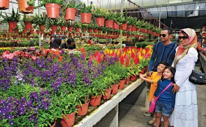 Private nature trip to Cameron Highlands from Kuala Lumpur