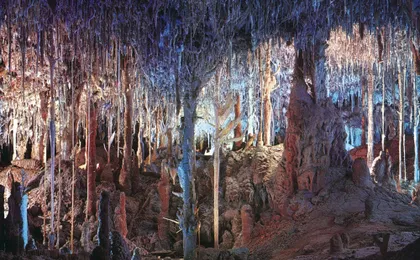 Entrance ticket to Caves of Hams in Porto Cristo