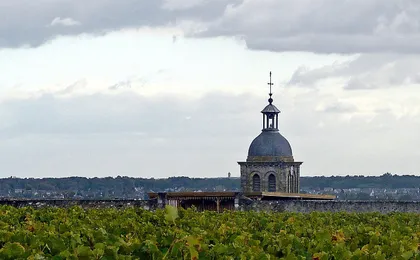 Loire Valley Day from Amboise with Tour of Azay le Rideau, Villandry