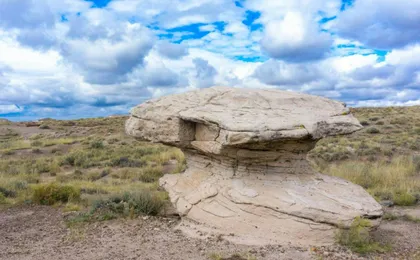 Self-guided driving audio tour of the Petrified Forest National Park
